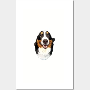 Bernese Mountain Dog JUST SO HAPPY! Posters and Art